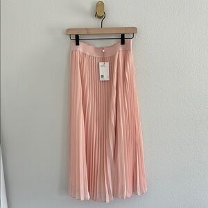 Quince Pleated Chiffon Skirt